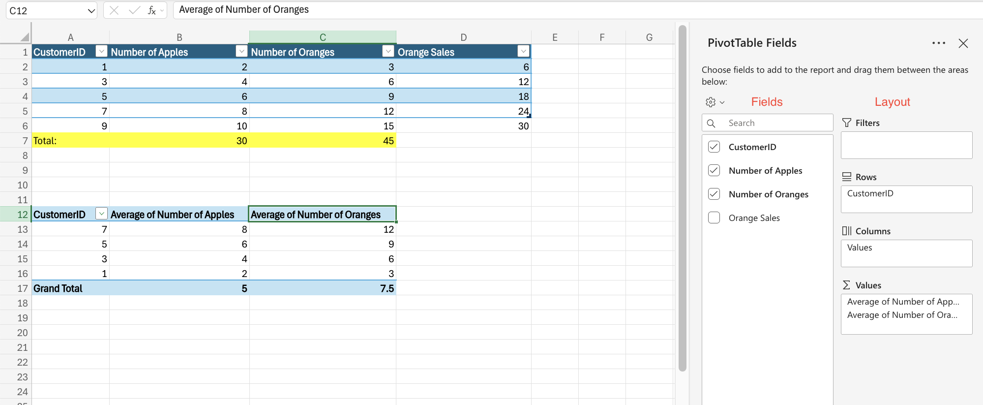 Excel Fields and layoutsexample