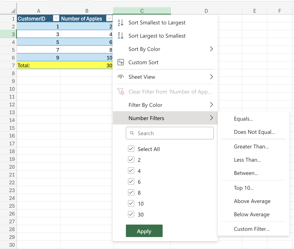 Excel Table Filters example