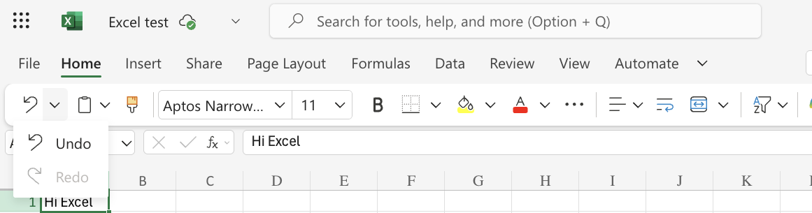 Excel Undo Function example